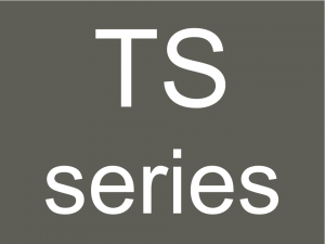 TS logo